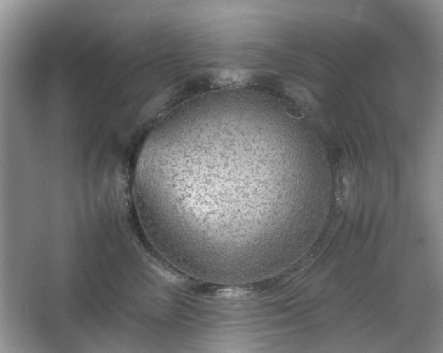 X0000067460714200604101133