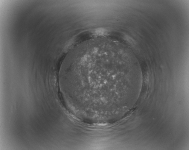 X0000067460715200604101133