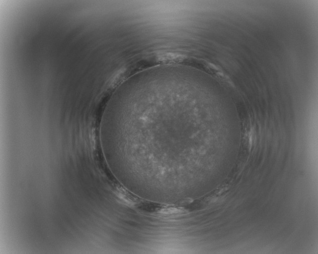 X0000067460716200604101133