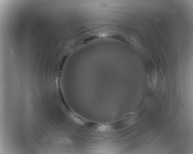 X0000067460718200604101133