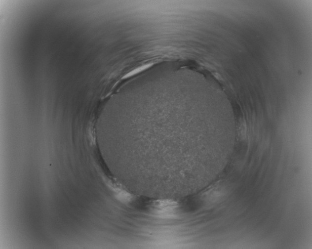 X0000067460719200604101133