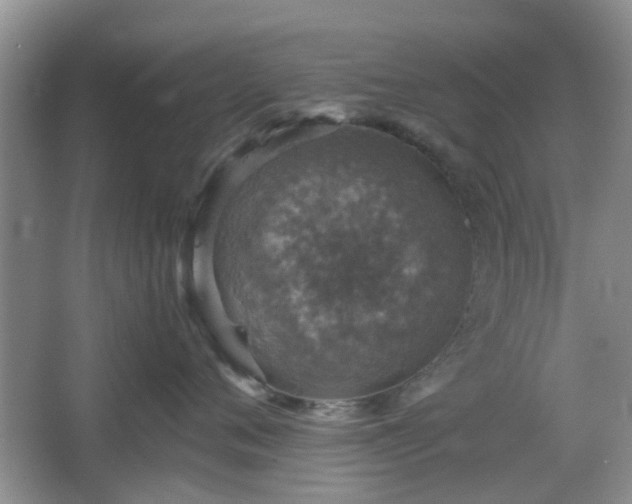 X0000067460720200604101133