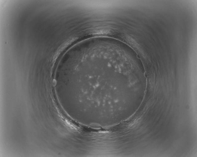 X0000067460721200604101132