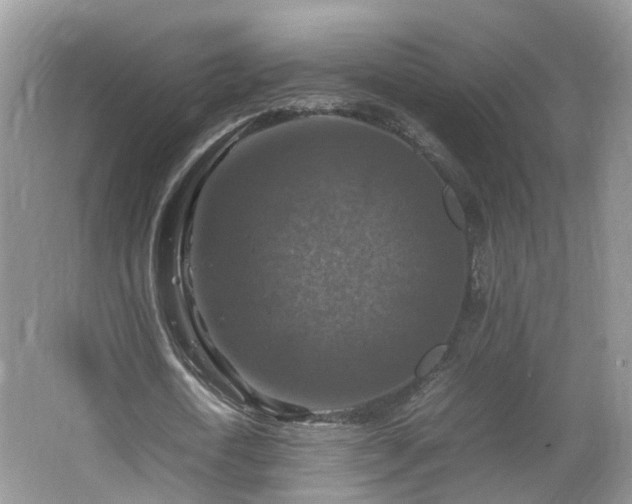 X0000067460722200604101132