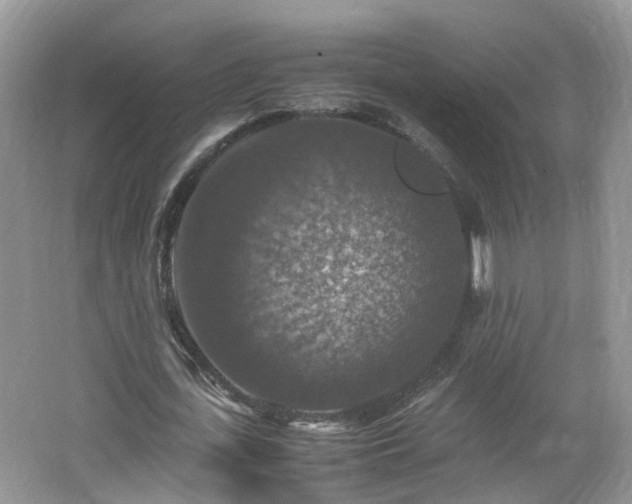 X0000067460723200604101132