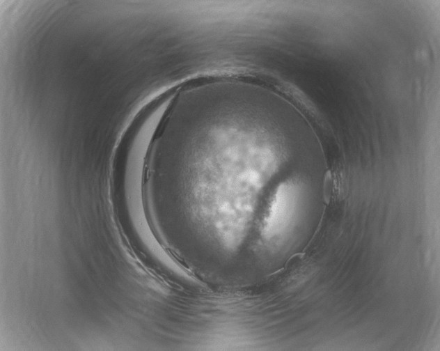 X0000067460724200604101132