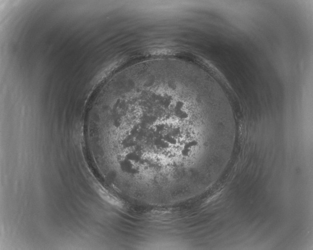 X0000067460725200604101132