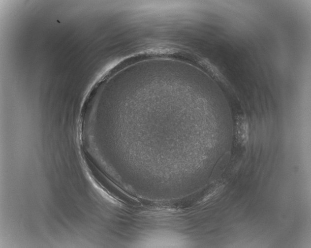 X0000067460726200604101132