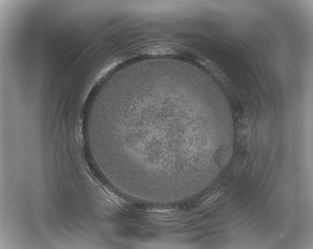 X0000067460727200604101132