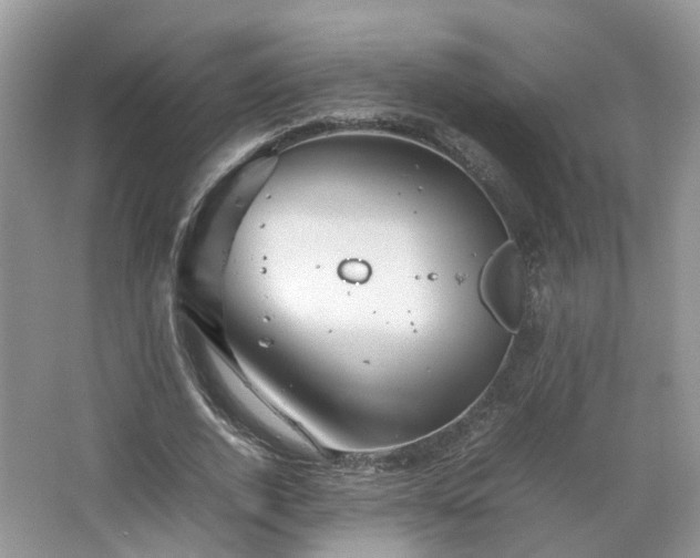 X0000067460728200604101132