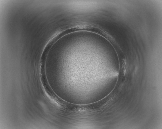 X0000067460730200604101132