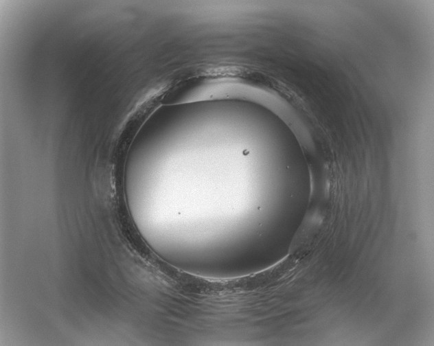 X0000067460731200604101132