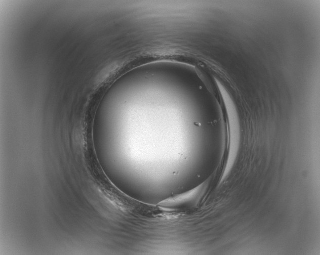 X0000067460732200604101132