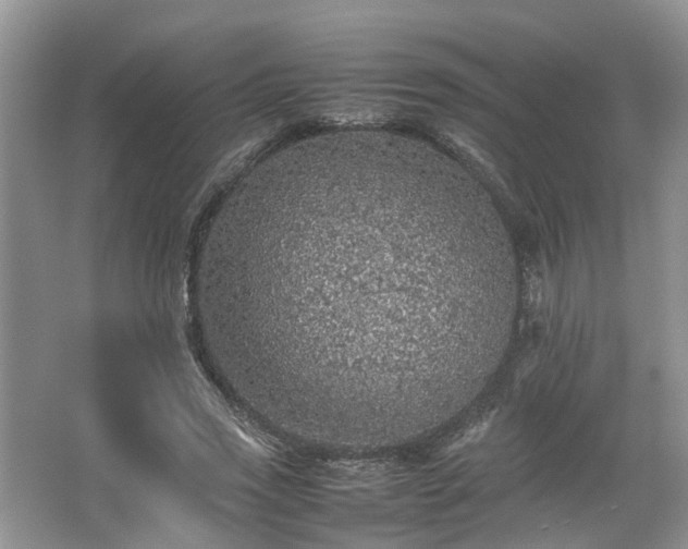 X0000067460733200604101132