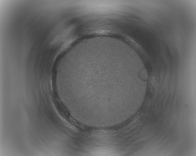 X0000067460734200604101132