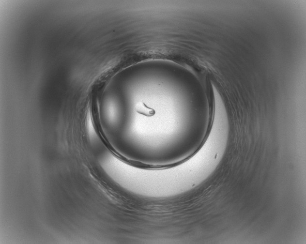 X0000067460735200604101132