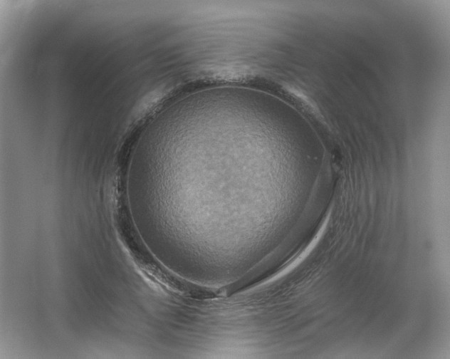 X0000067460736200604101132