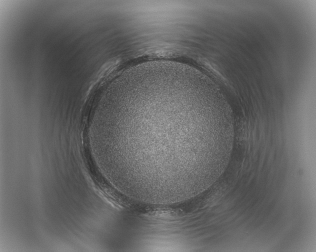 X0000067460738200604101132