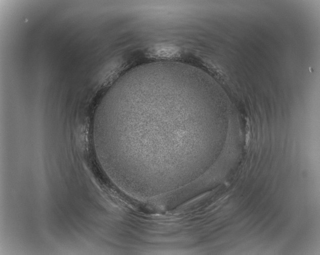 X0000067460739200604101132