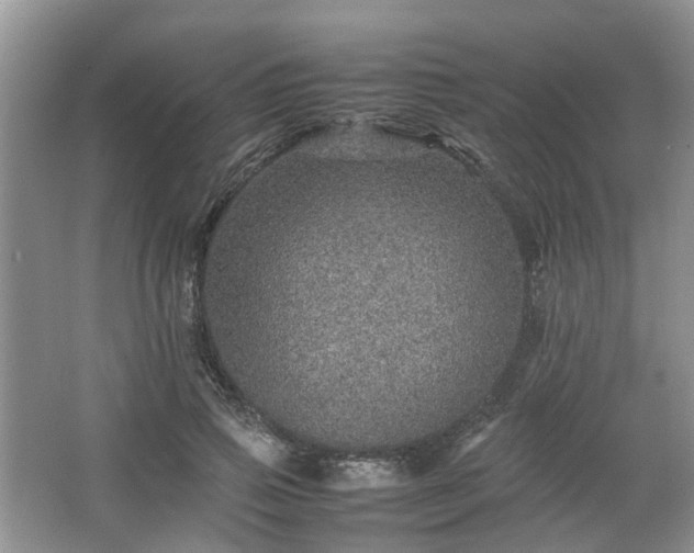 X0000067460741200604101132