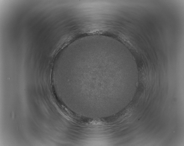 X0000067460742200604101132