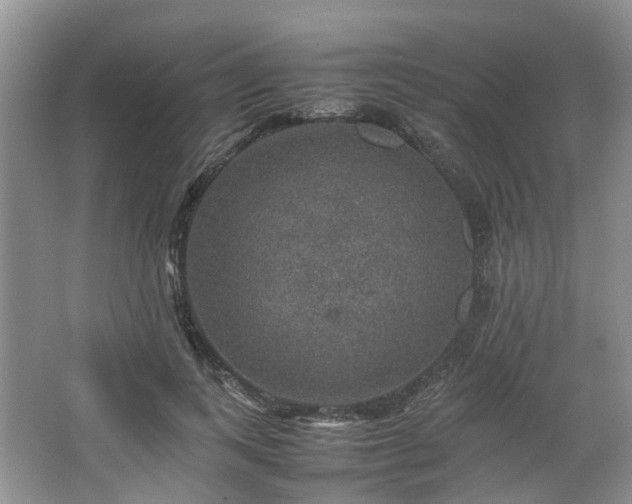 X0000067460743200604101132