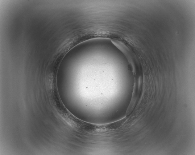 X0000067460744200604101132