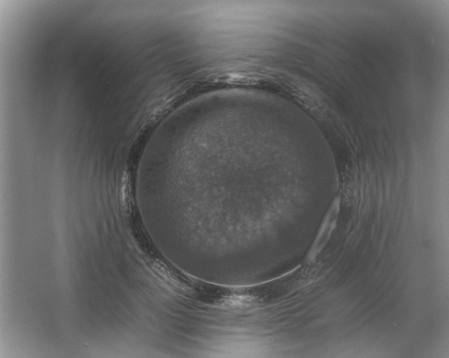 X0000067460748200604101132