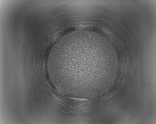 X0000067460749200604101132