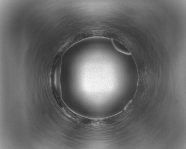 X0000067460752200604101132