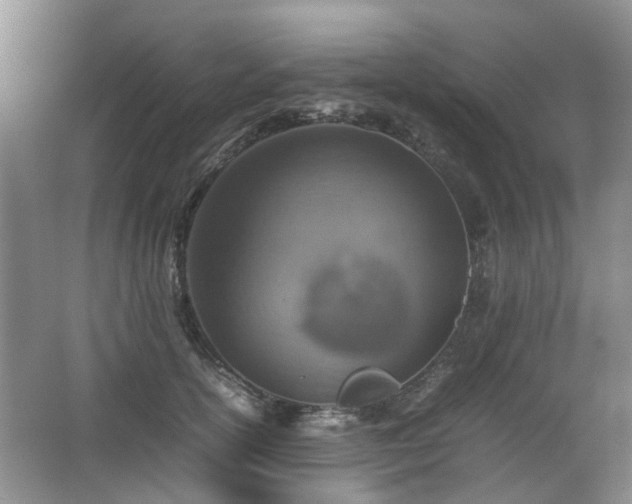 X0000067460754200604101132