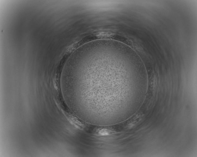 X0000067460755200604101132