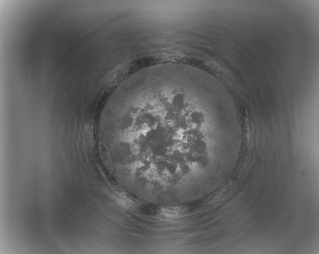 X0000067460757200604101133