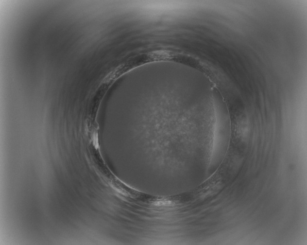 X0000067460759200604101133