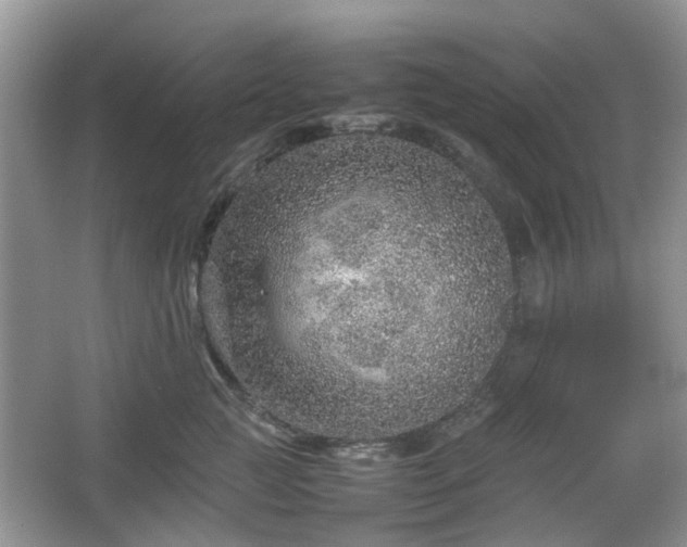 X0000067460761200604101133