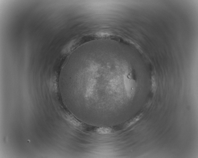 X0000067460762200604101133