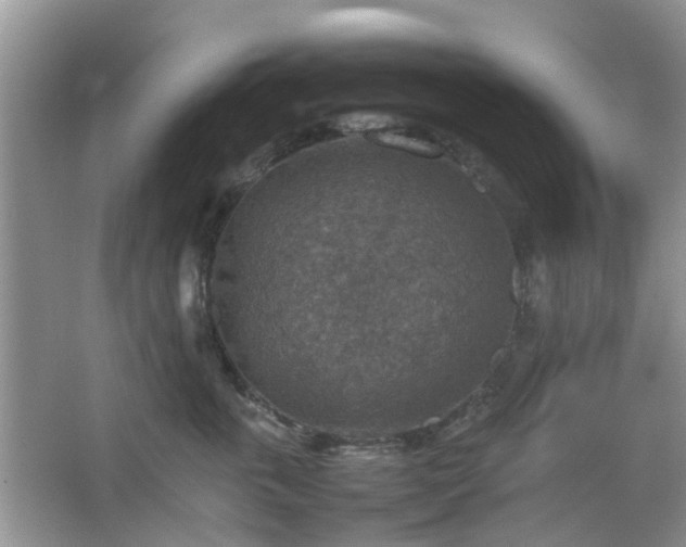 X0000067460763200604101133