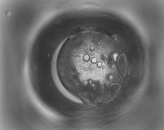 X0000067460765200604101133