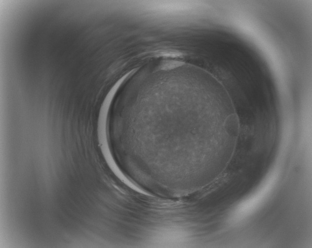 X0000067460766200604101133