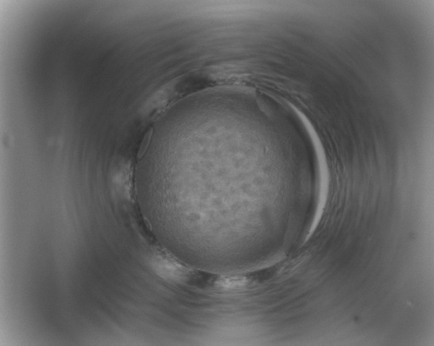 X0000067460767200604101133