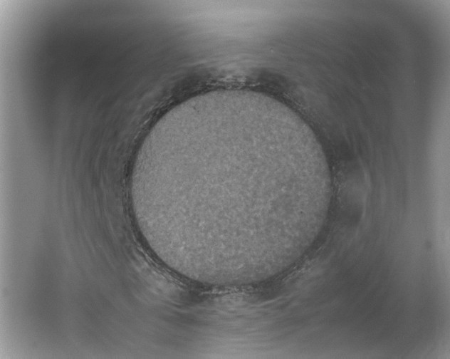 X0000067460769200604101132