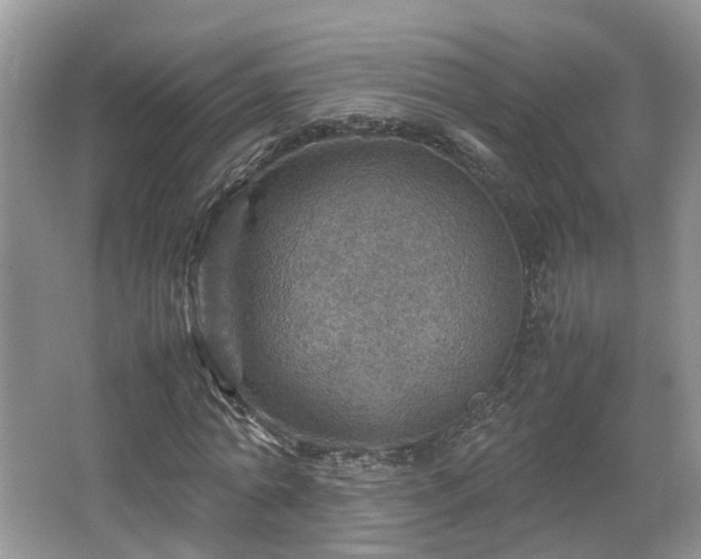 X0000067460774200604101132