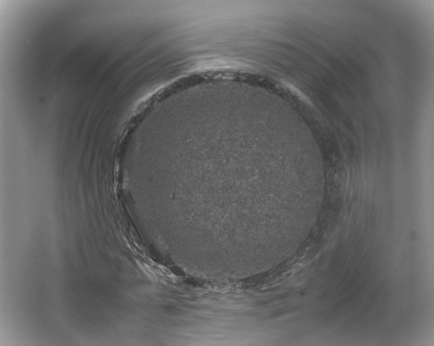 X0000067460775200604101132