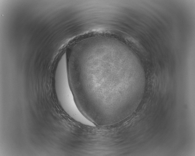 X0000067460776200604101132