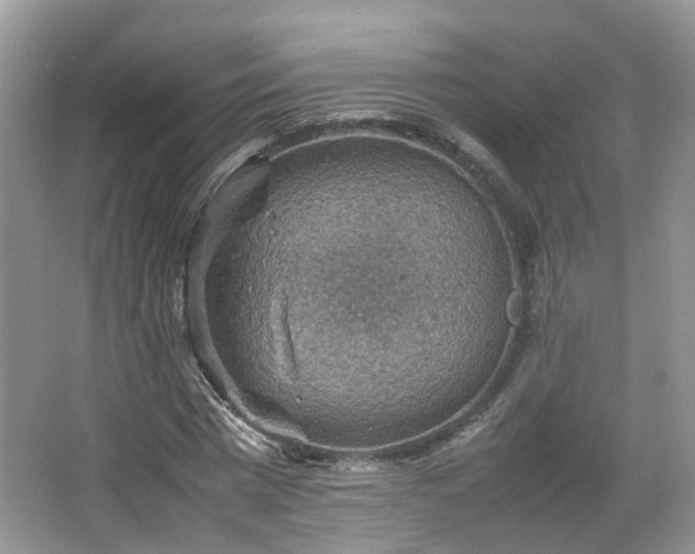 X0000067460777200604101132