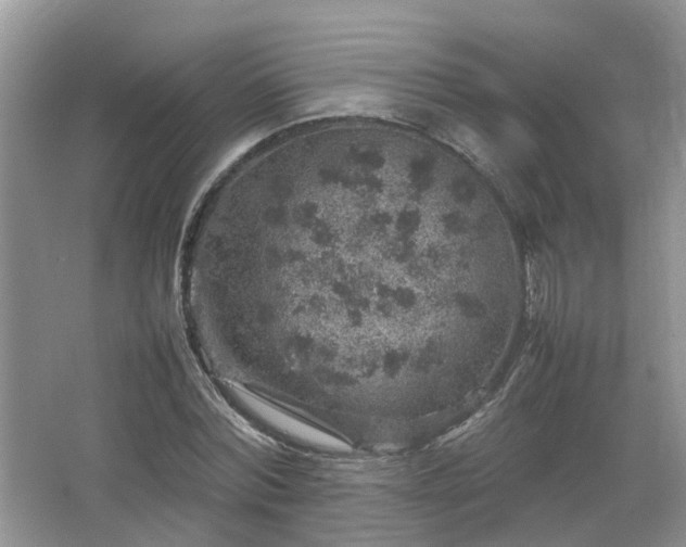 X0000067460780200604101132