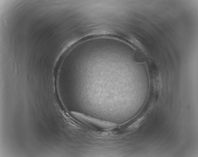 X0000067460781200604101132