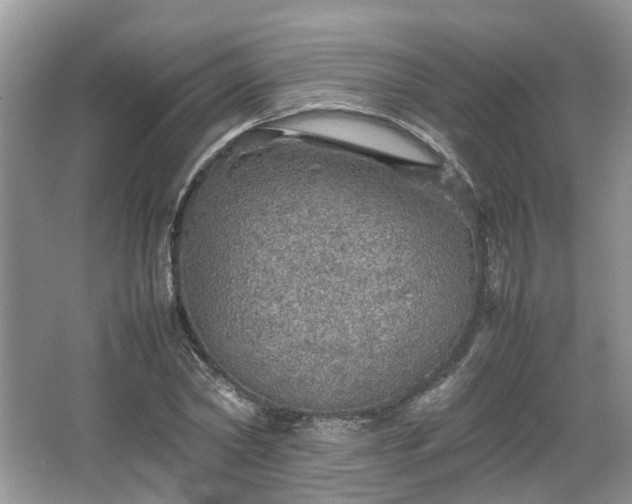 X0000067460782200604101132