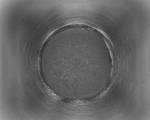 X0000067460783200604101132