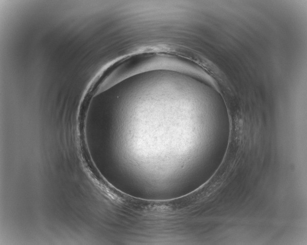 X0000067460784200604101132